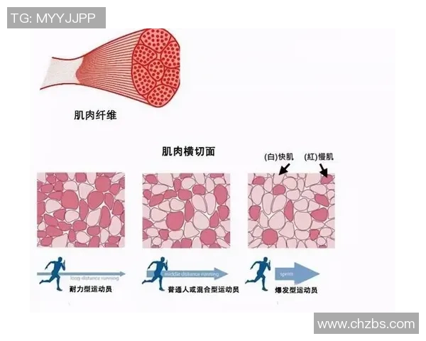 广州与南京排球队的耐力对决赛后分析与反思 广州与南京排球队的耐力对决赛后分析与反思